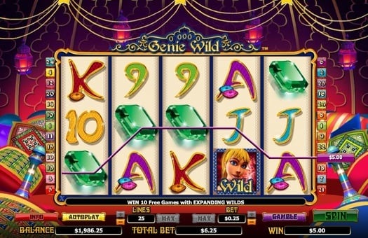 Автомат Genie Wild - выигрышная комбинация Выигрышная комбинация в автомате Genie Wild