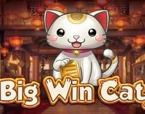 Big Win Cat Big Win Cat