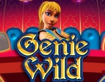 Genie Wild Genie Wild