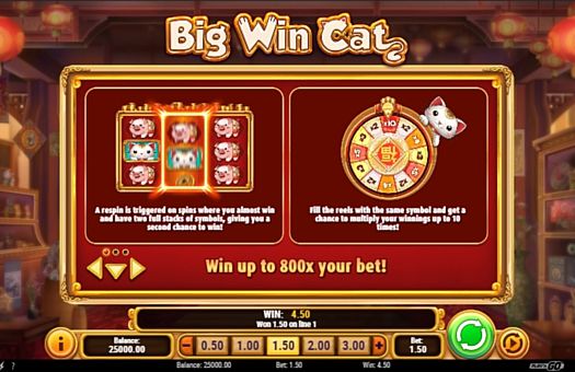 Игра Big Win Cat - правила респинов Правила респинов в игре Big Win Cat