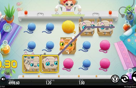 Игровой автомат Not Enough Kittens - призовая комбинация на линии Призовая комбинация на линии в игровой автомат Not Enough Kittens